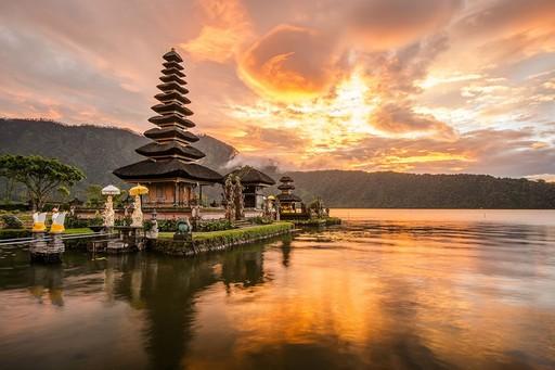 ISC Bali coral restoration expedition